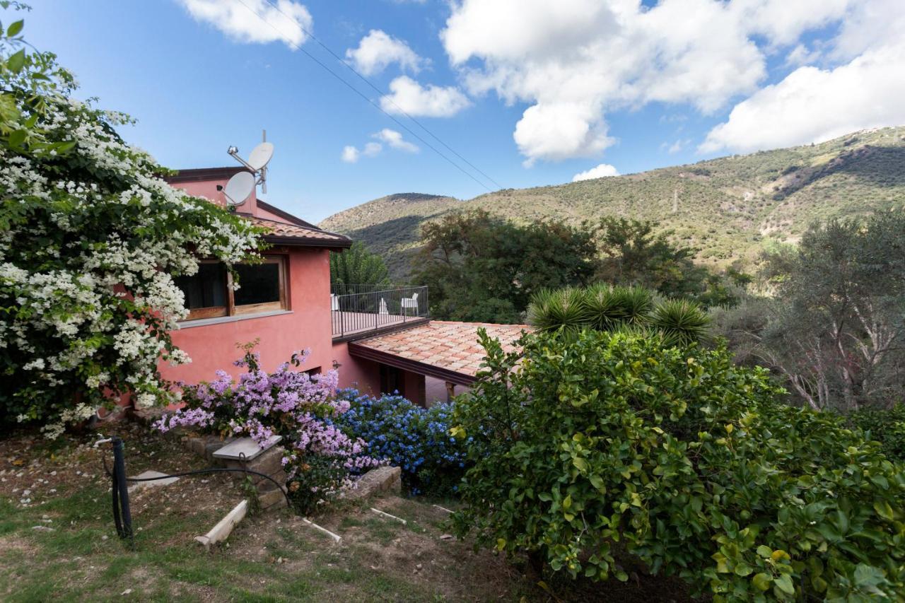 Agricontura Guest House Capri Leone Exterior photo