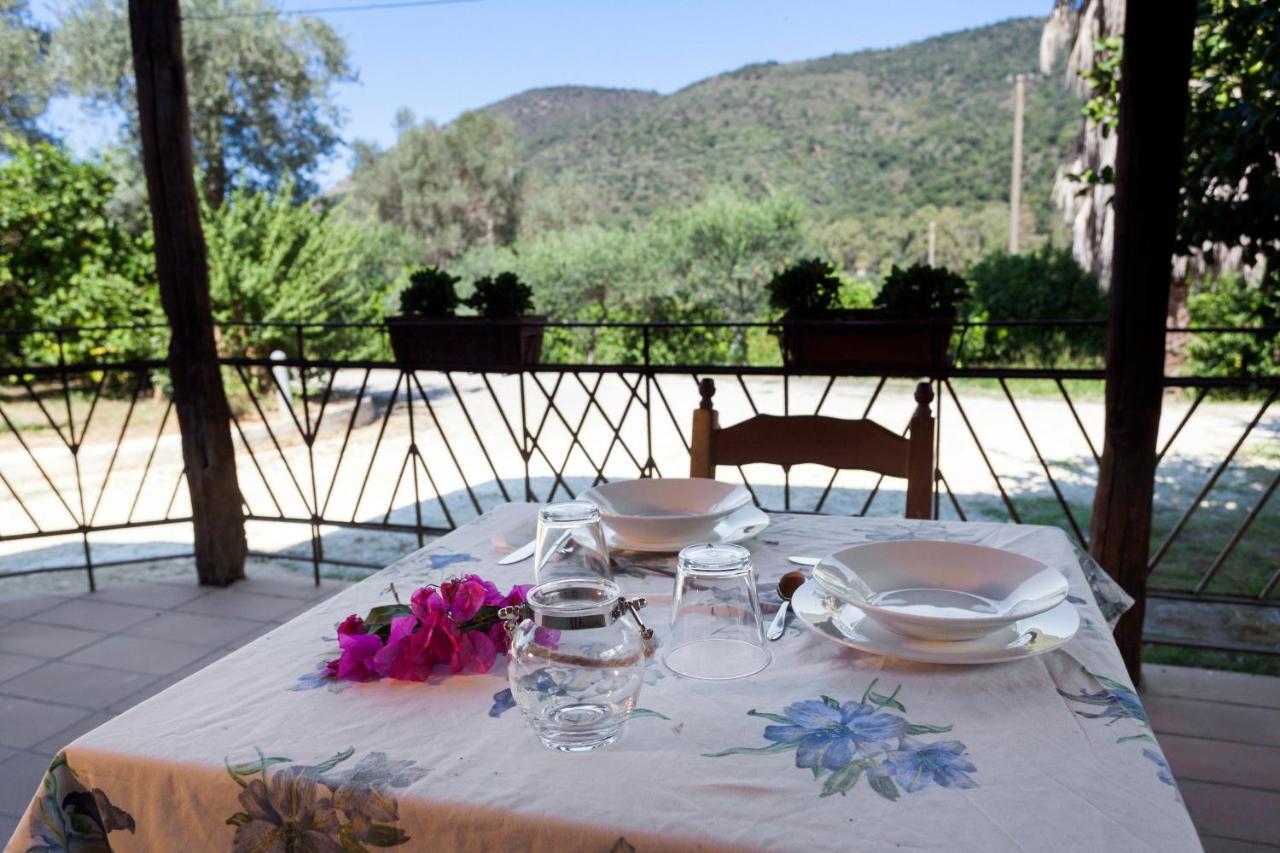 Agricontura Guest House Capri Leone Exterior photo